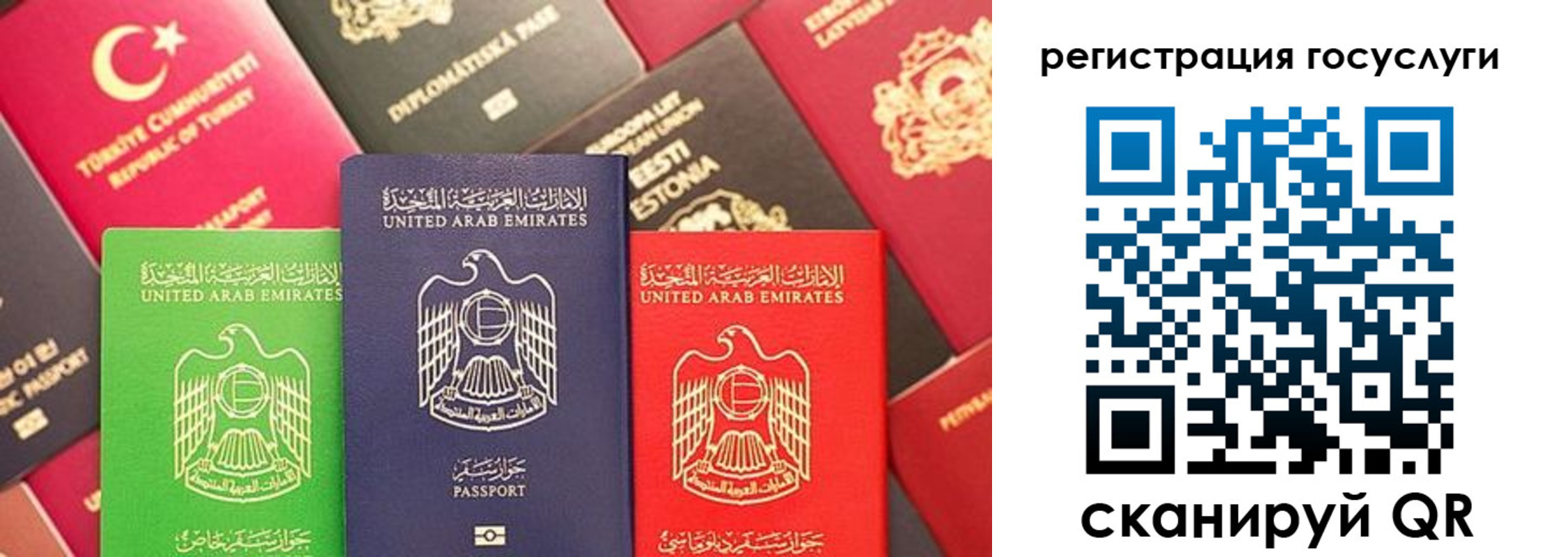 временная регистрация недорого в Гвардейске